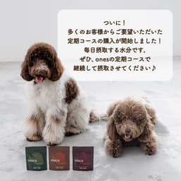 【定期コース初回30%OFF】愛犬の水分補給トッピングスープ【集中デトックスセット】 - ones___02