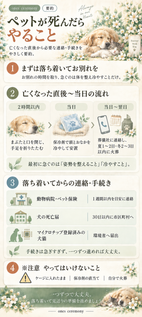 【ペットが死んだら？】亡くなった直後から30日以内にやること