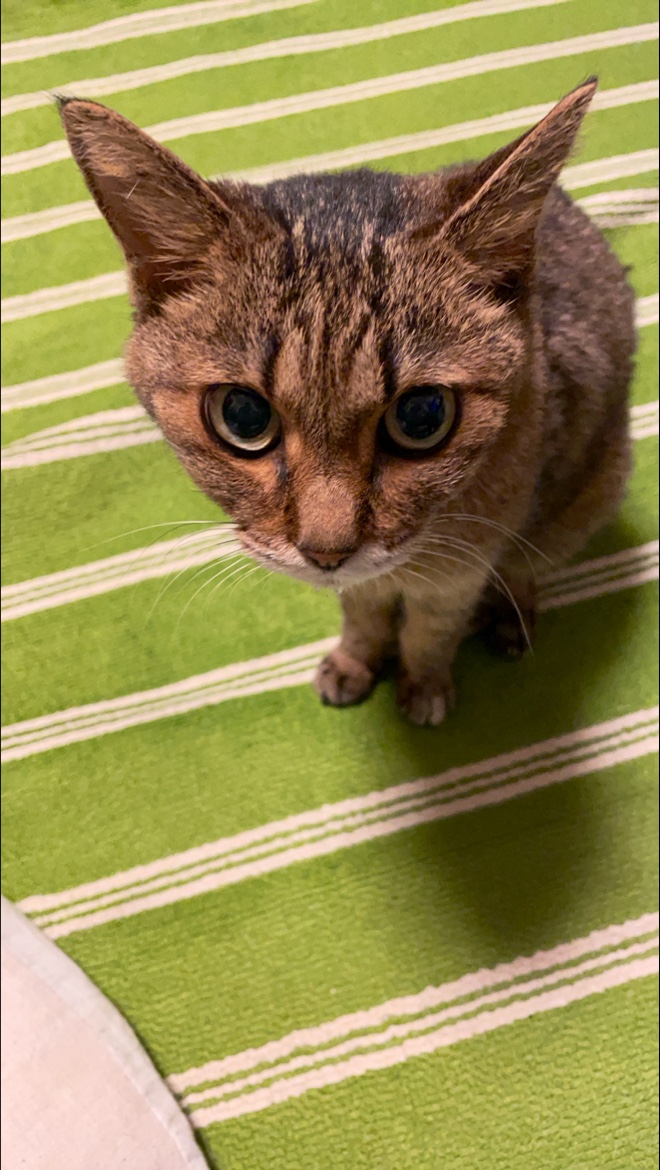 ペット火葬虹の園の写真