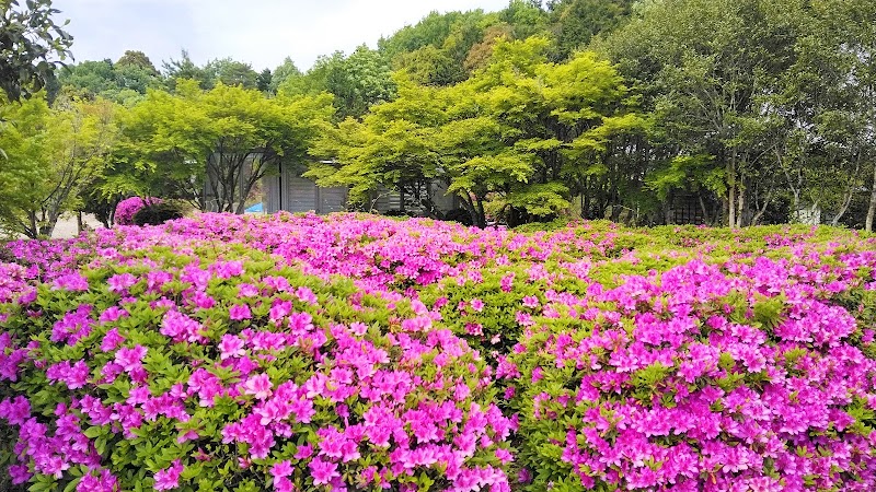 岡崎ペットセレモニーまんぷく寺の写真