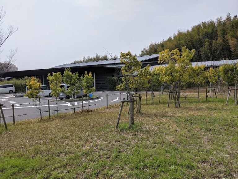 いつくしみの杜の写真
