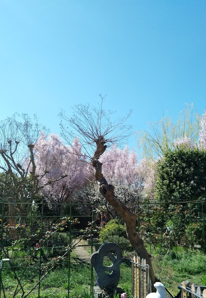 観蔵院ペット霊園ニルバーナの写真