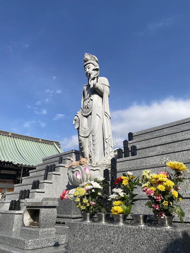 アイリスペットエンジェルの写真