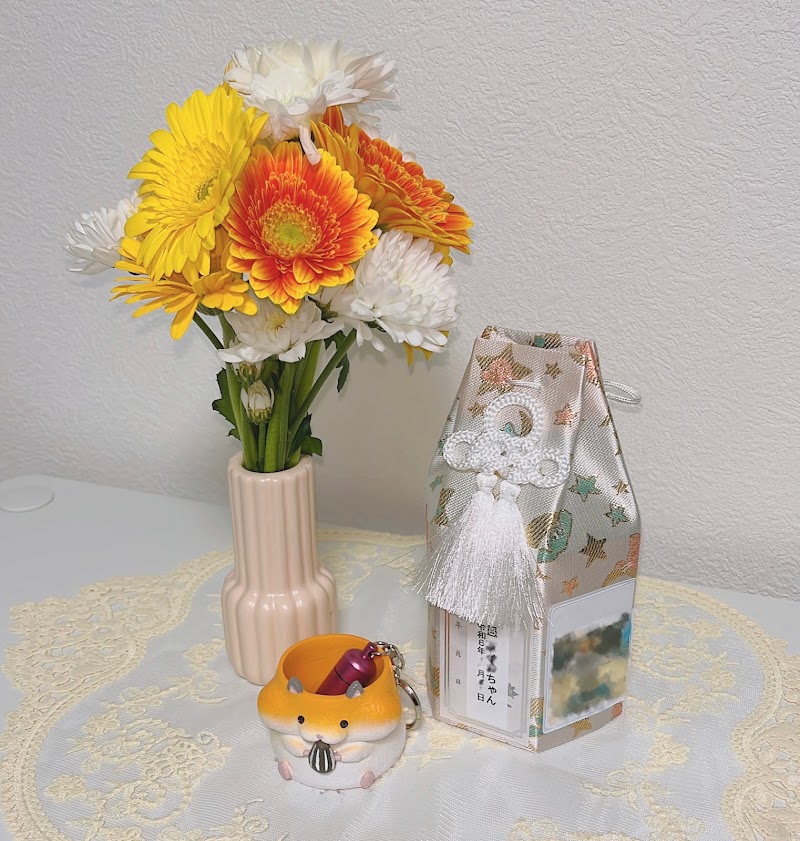 D&Cドッグアンドキャットの写真