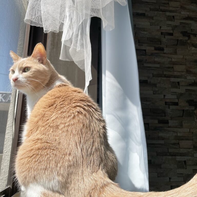 ペット火葬ハピネス福岡の写真