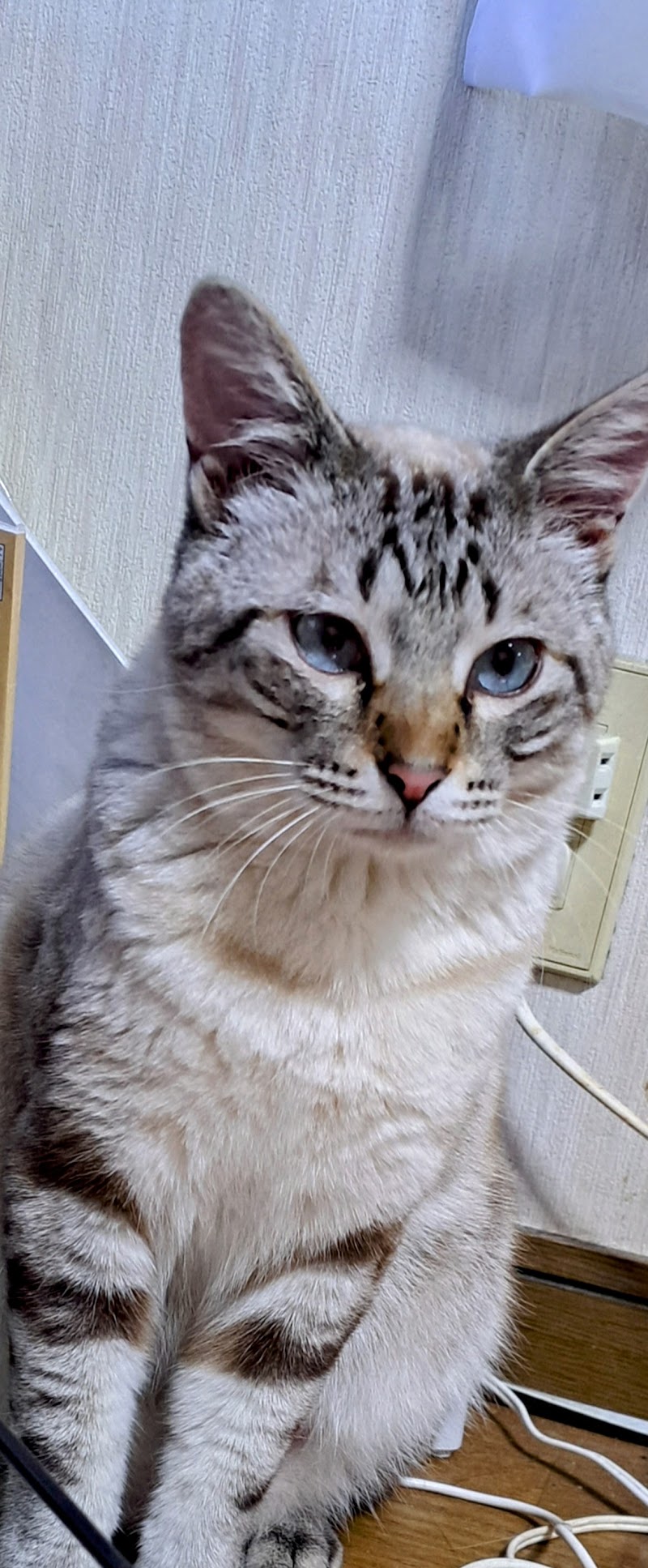 優心セレモニーの写真