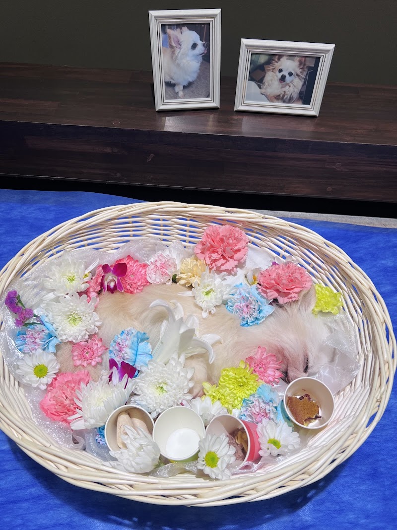 ペット霊園 長久手の写真
