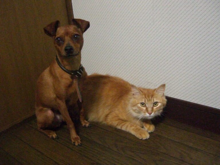 エターナルメモリーの写真