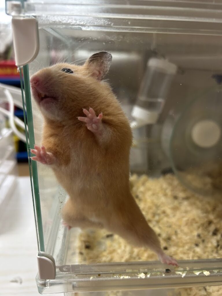 ペット火葬ハピネス熊本の写真