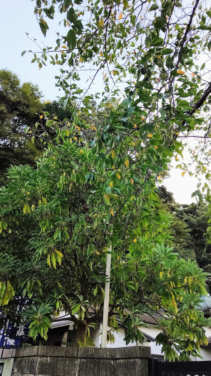 松戸ペット霊園の写真