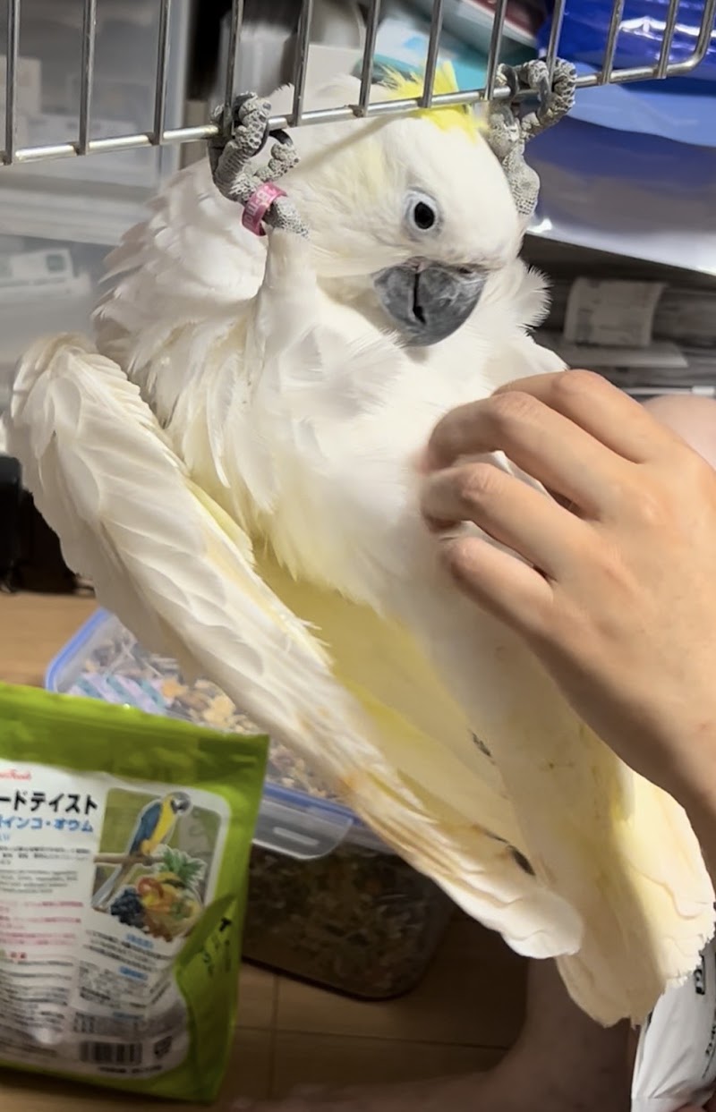 アニマルズセレモニー相模原店の写真