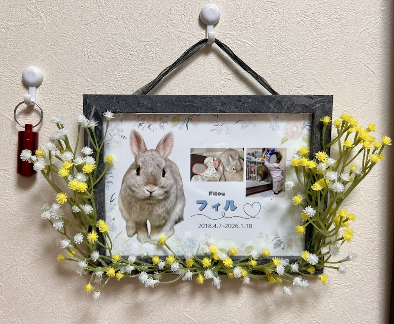 ペット訪問セレモニー東京の写真