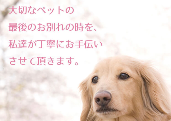 一般社団法人 悠愛メモリアルの写真