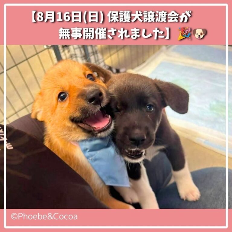 ペット火葬・葬儀「虹の丘」 札幌店の写真