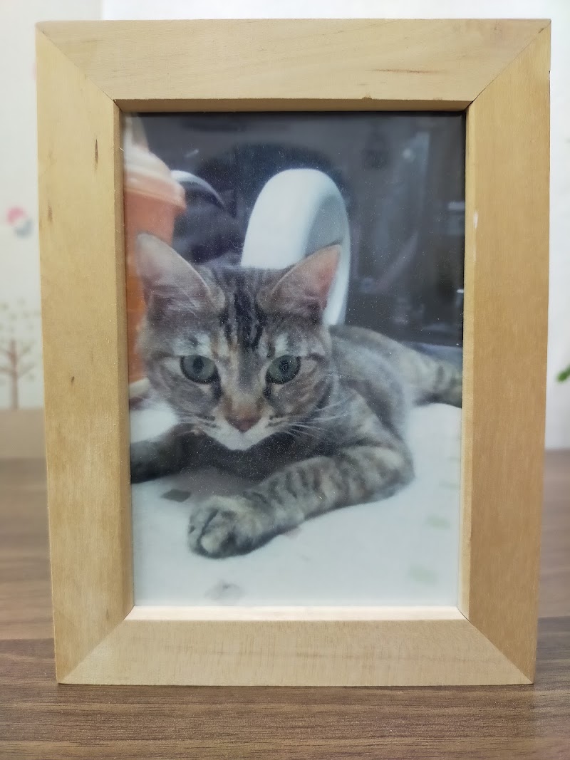 ペットの葬儀屋さん『大阪犬友社』の写真