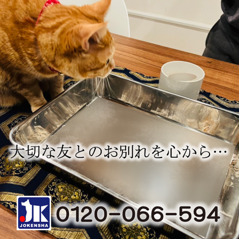 ペット火葬の常憲社の写真