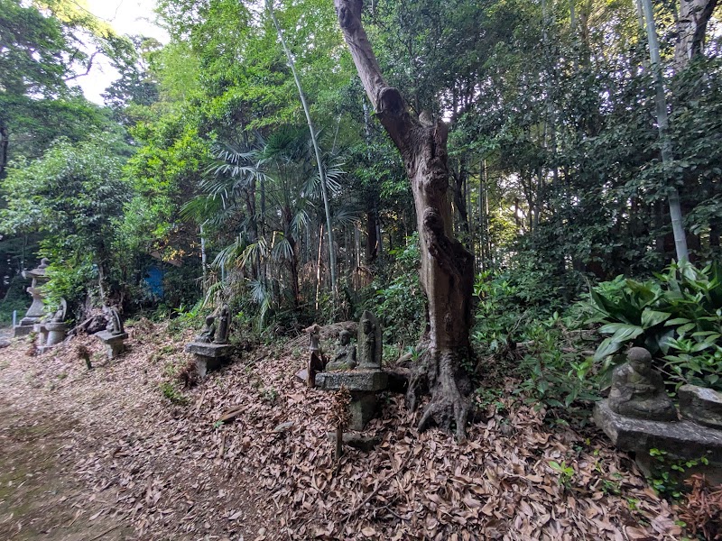 加納寺の写真