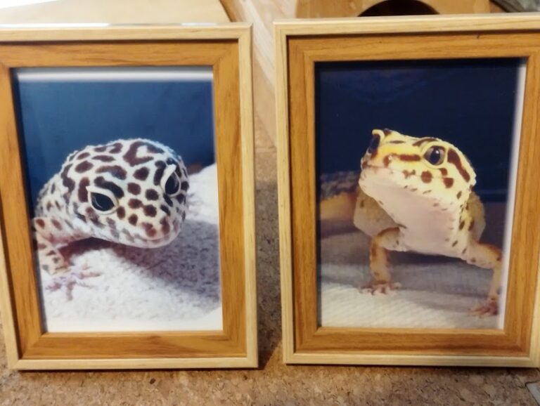 ペットのおみおくり訪問火葬 天寿の写真
