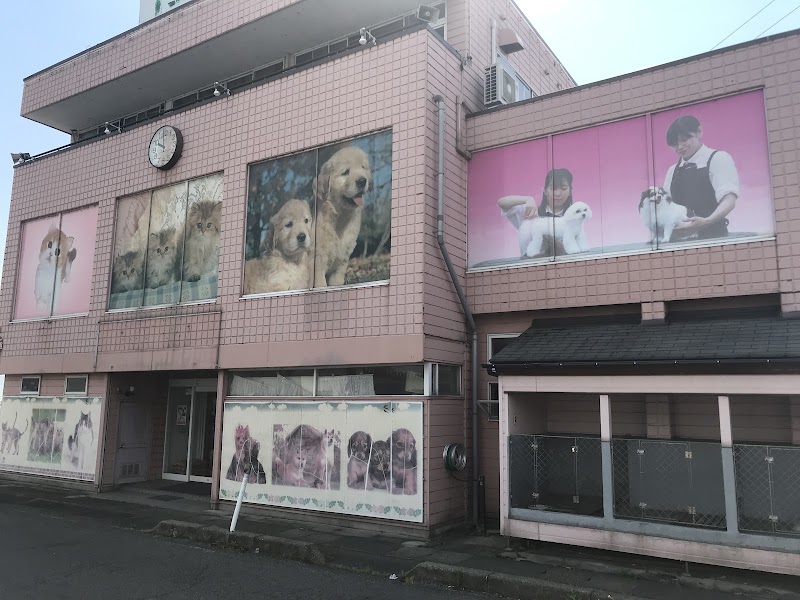 竹内ペット 新津本店の写真