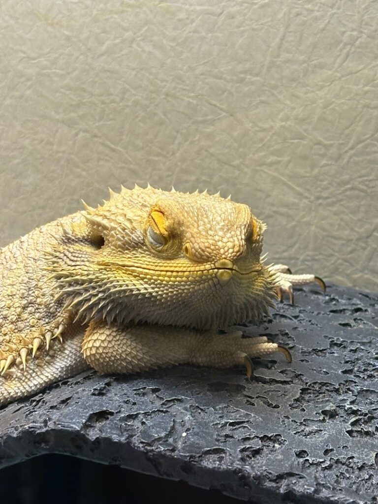 ペット火葬ハピネス横浜の写真