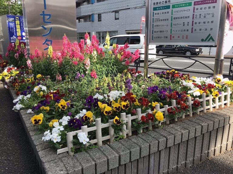 ペットの天国の写真