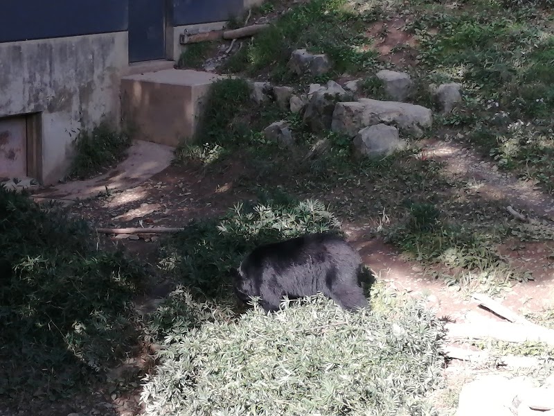 盛岡動物霊園の写真