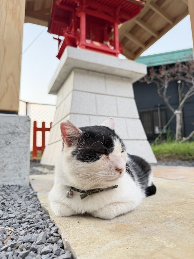 慈愛の丘 とそ動物霊園の写真