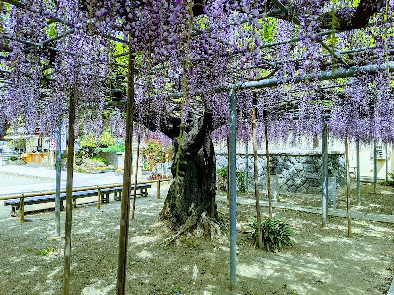 龍泉寺の写真