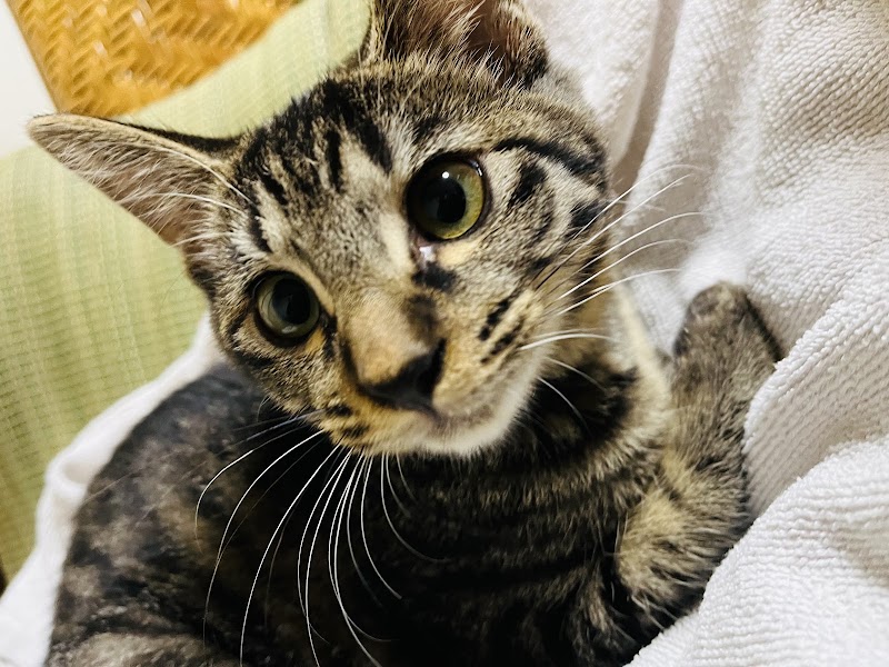 ペット火葬ハピネス名古屋の写真