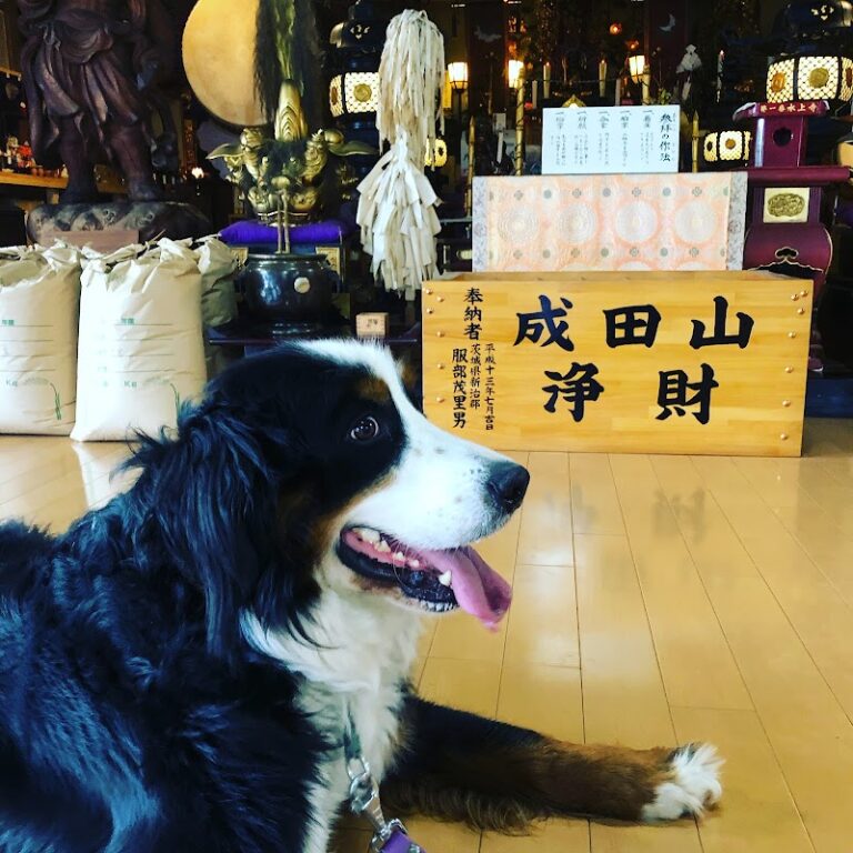 成田山水上寺ペット霊園の写真