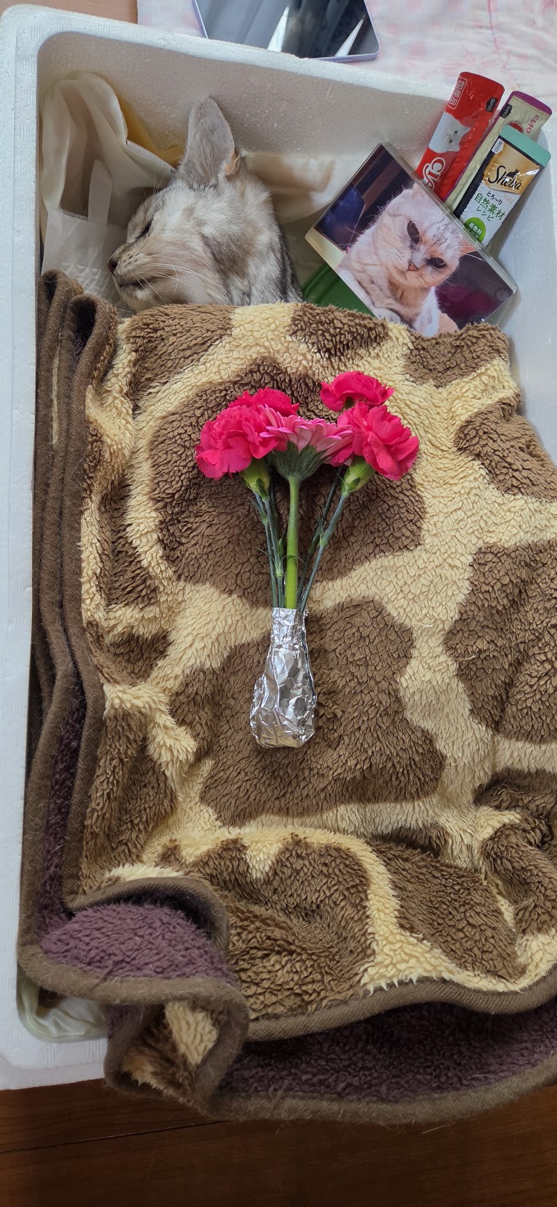 うつのみや動物霊苑の写真