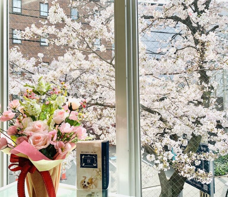 ペットセレモニー桜PREMIUMの写真
