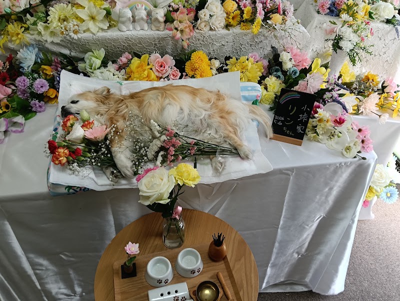 ペット葬祭 虹の橋の写真