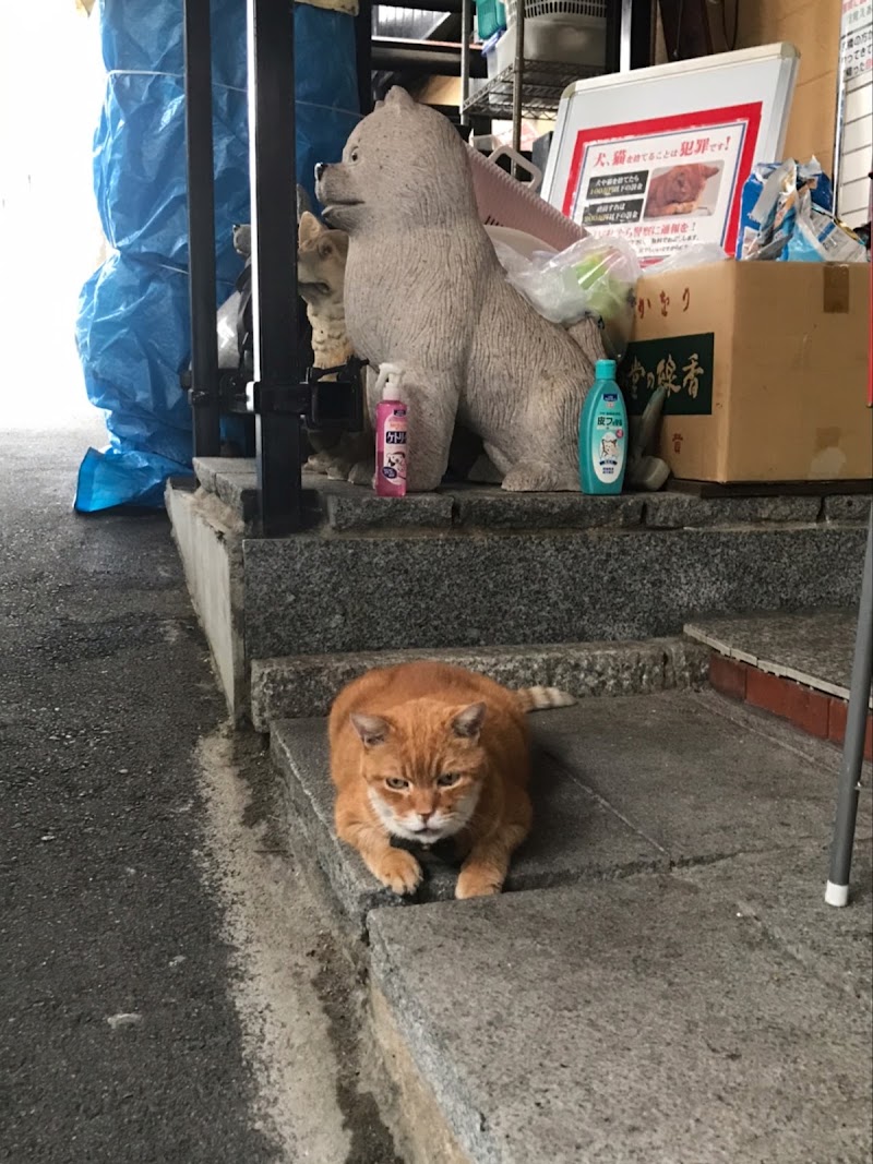 京橋慈愛院の写真