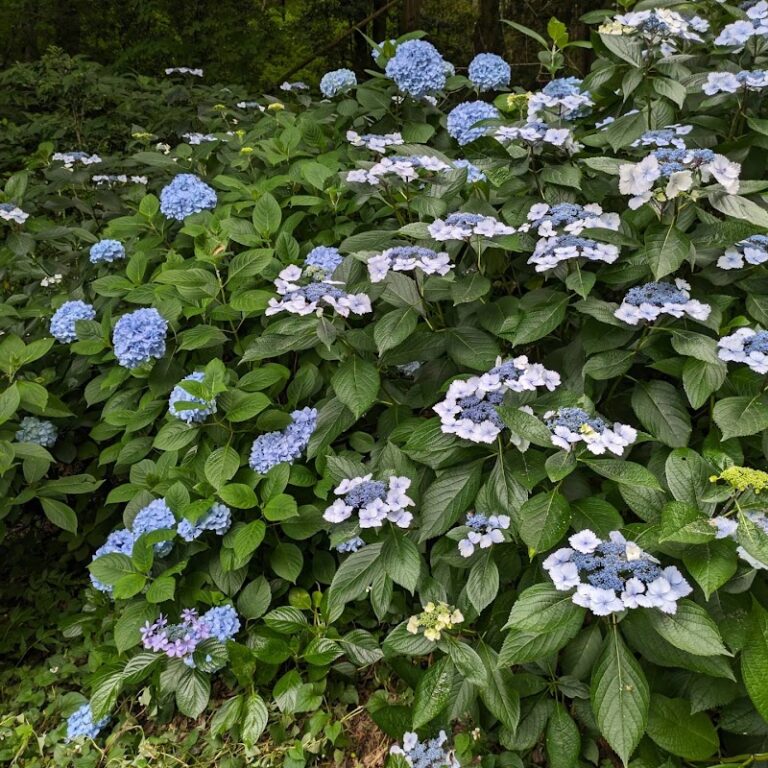 ペット火葬 にじの葬祭の写真