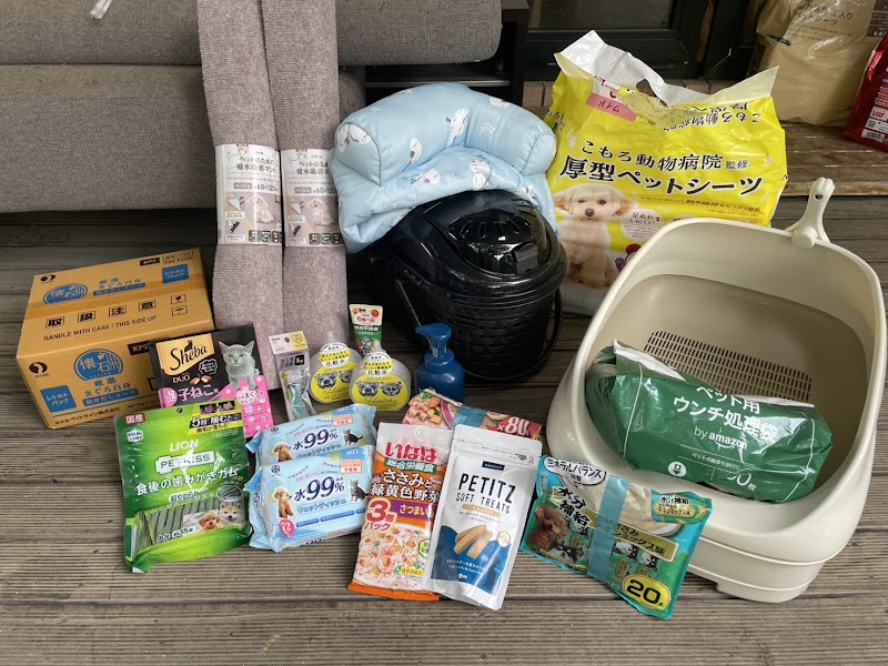 ちいさな家族にありがとう 虹の架け橋 ぷうの写真