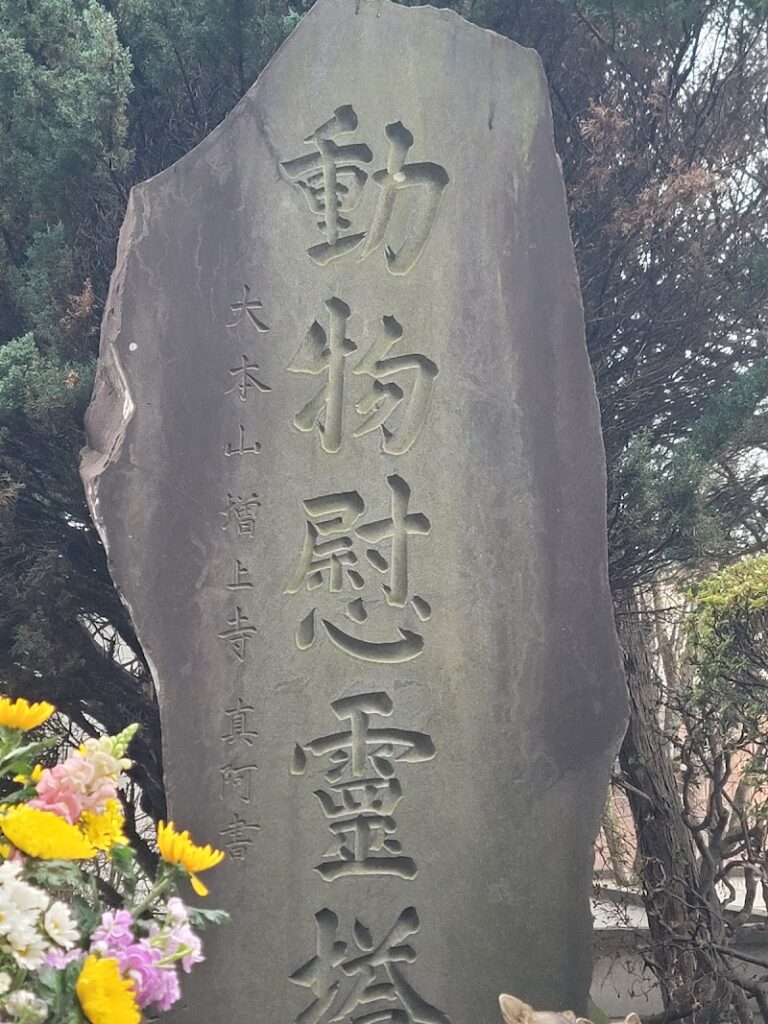 大泉寺の写真