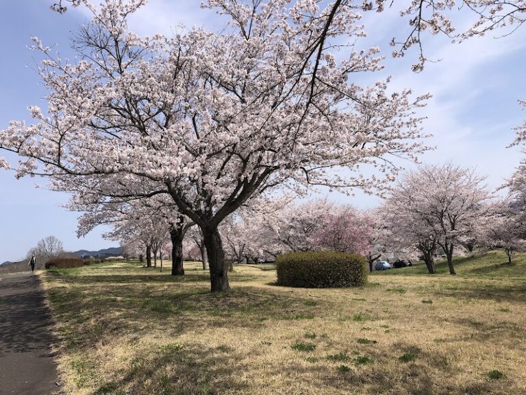 仙南地域広域行政事務組合 角田衛生センターの写真