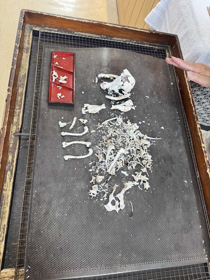 愛心ペットセレモの写真