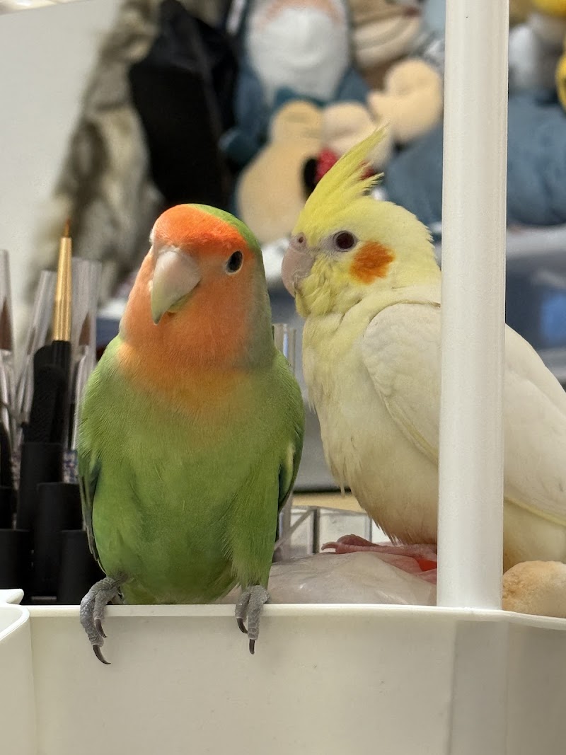 ペット火葬ハピネス横浜の写真