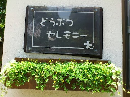 どうぶつセレモニーの写真
