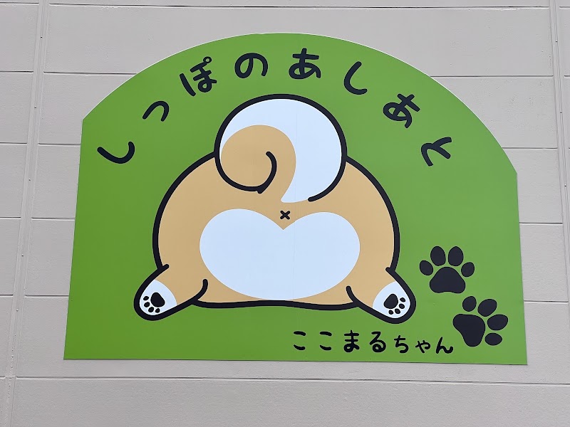 しっぽのあしあとの写真