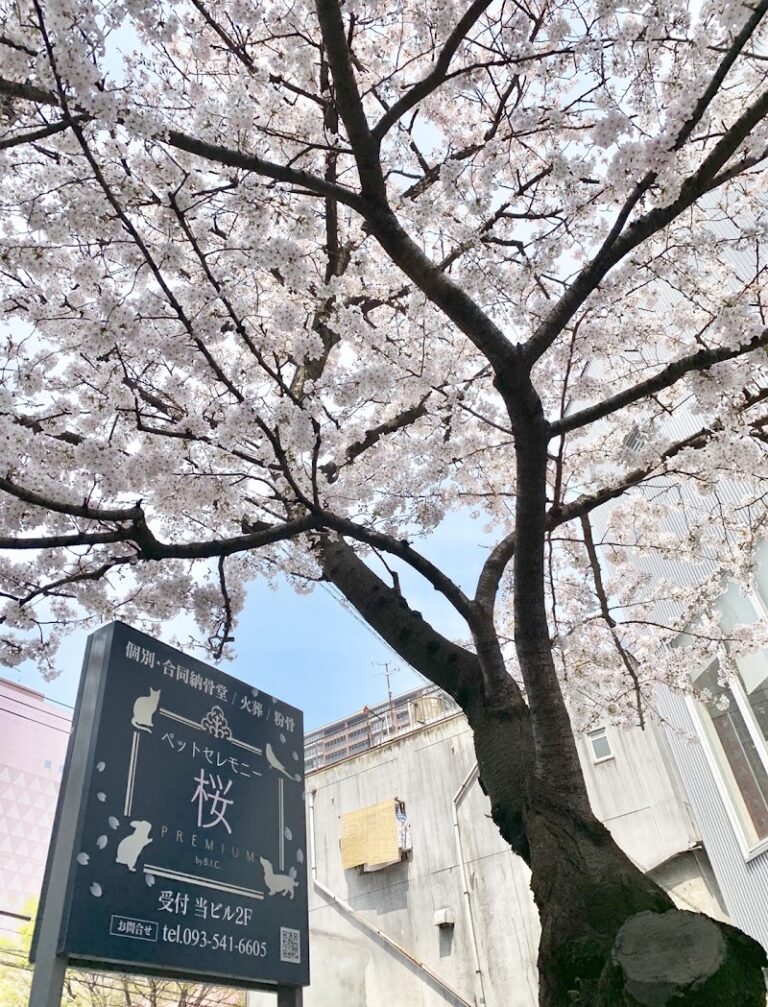 ペットセレモニー桜PREMIUMの写真