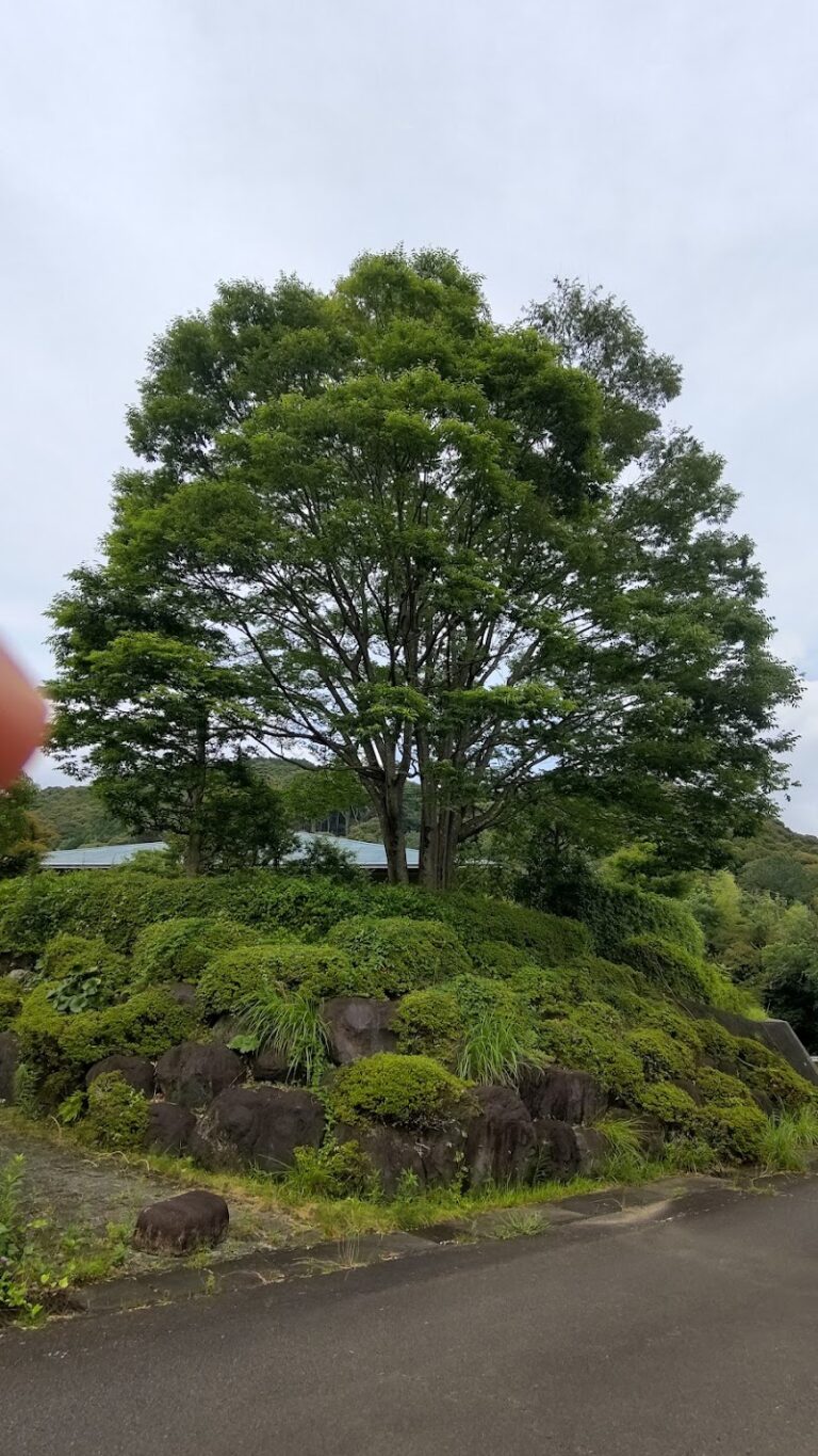 島田市斎場の写真