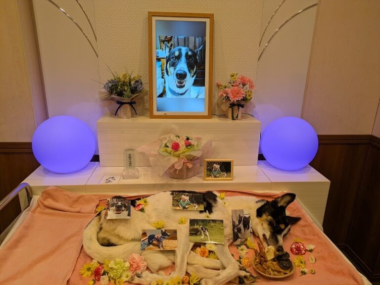 ペット火葬･ペット葬儀日本ペットセレモの写真