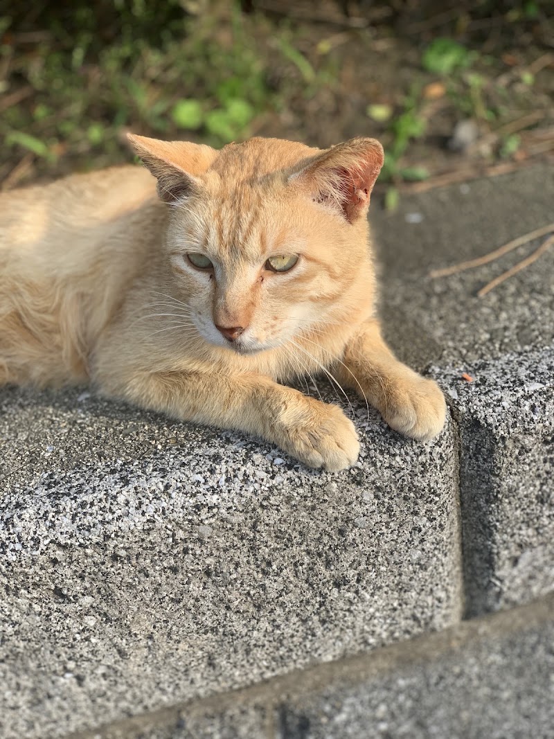 PET FUNERAL 明日花の写真