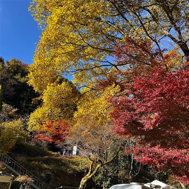 にじの橋舎 神戸住吉ペット霊園の写真