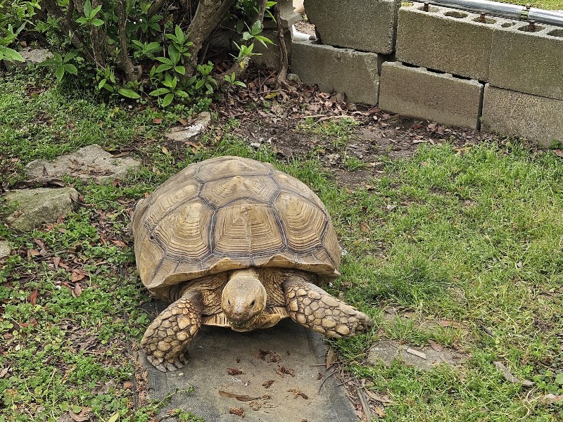 夢の郷動物霊園の写真