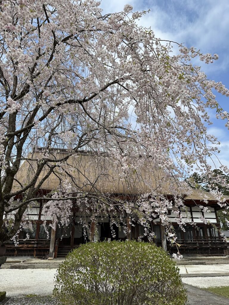 真宗浄興寺派本山 浄興寺の写真