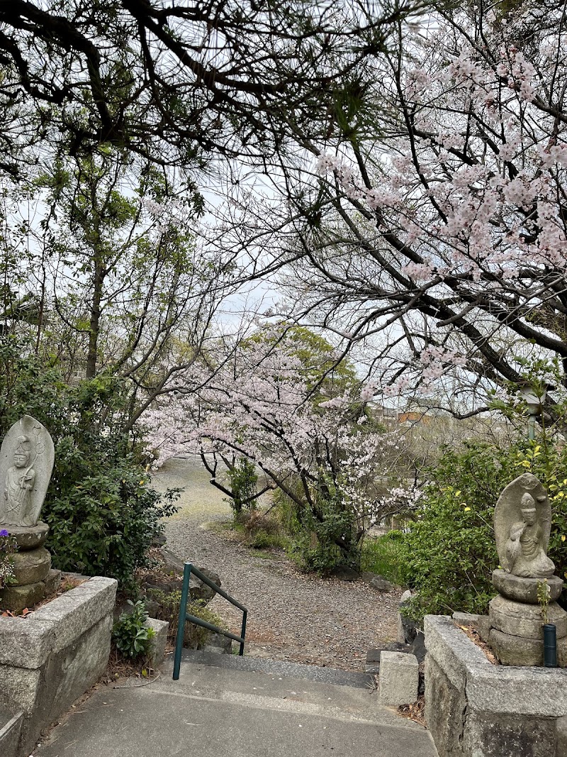 救衆山 海平教寺 阿弥陀院の写真